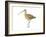 Long-Billed Curlew (Numenius Americanus), Birds-Encyclopaedia Britannica-Framed Art Print