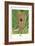Long-Billed Marsh Wren-null-Framed Art Print