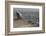 Long-Billed Vulture (Gyps Indicus)-Bernard Castelein-Framed Photographic Print