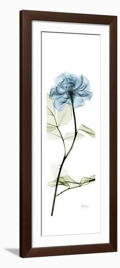 Long Blue Rose-Albert Koetsier-Framed Art Print