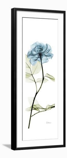 Long Blue Rose-Albert Koetsier-Framed Art Print