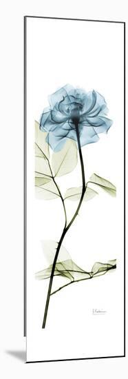 Long Blue Rose-Albert Koetsier-Mounted Art Print