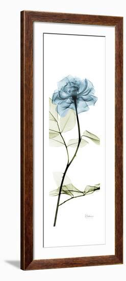 Long Blue Rose-Albert Koetsier-Framed Art Print