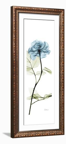 Long Blue Rose-Albert Koetsier-Framed Art Print