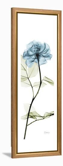 Long Blue Rose-Albert Koetsier-Framed Stretched Canvas