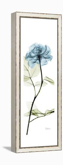 Long Blue Rose-Albert Koetsier-Framed Stretched Canvas