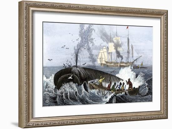 Long Boat Crew Harpooning a Whale-null-Framed Giclee Print