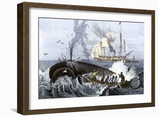 Long Boat Crew Harpooning a Whale-null-Framed Giclee Print