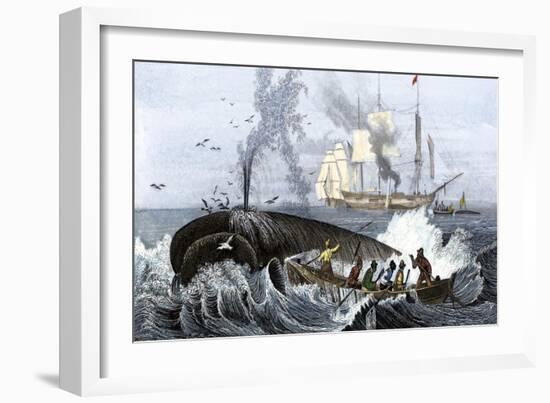 Long Boat Crew Harpooning a Whale-null-Framed Giclee Print