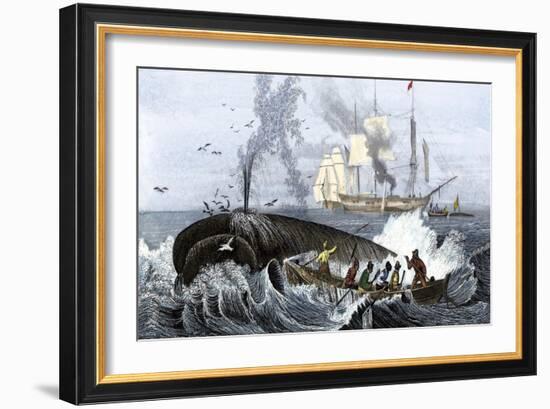 Long Boat Crew Harpooning a Whale-null-Framed Giclee Print