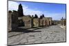 Long Cobbled Street, Roman Ruins of Pompeii, UNESCO World Heritage Site, Campania, Italy, Europe-Eleanor Scriven-Mounted Photographic Print