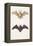 Long-Eared Bat and a Common Bat, 1834-Edouard Travies-Framed Premier Image Canvas