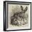 Long-Eared Fox, at the Gardens of the Zoological Society-null-Framed Giclee Print