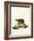 Long-Eared Hedgehog-null-Framed Giclee Print