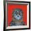 Long-Eared Owl, 2015-Tamas Galambos-Framed Giclee Print