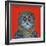 Long-Eared Owl, 2015-Tamas Galambos-Framed Giclee Print