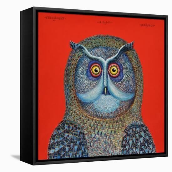 Long-Eared Owl, 2015-Tamas Galambos-Framed Premier Image Canvas