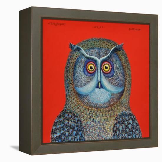 Long-Eared Owl, 2015-Tamas Galambos-Framed Premier Image Canvas