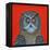 Long-Eared Owl, 2015-Tamas Galambos-Framed Premier Image Canvas