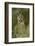 Long-eared Owl, Asio otus, Montana-Adam Jones-Framed Photographic Print