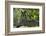 Long-Eared Owl Perched on Tree Branch-W. Perry Conway-Framed Photographic Print