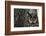 Long-Eared Owl with Suprised Expression-W. Perry Conway-Framed Photographic Print