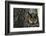 Long-Eared Owl with Suprised Expression-W. Perry Conway-Framed Photographic Print