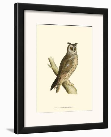 Long Eared Owl-Reverend Francis O^ Morris-Framed Art Print