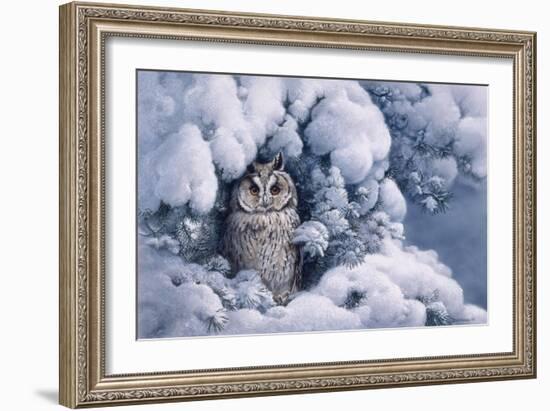 Long-Eared Owl-Harro Maass-Framed Giclee Print