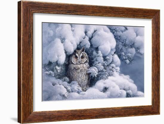 Long-Eared Owl-Harro Maass-Framed Giclee Print