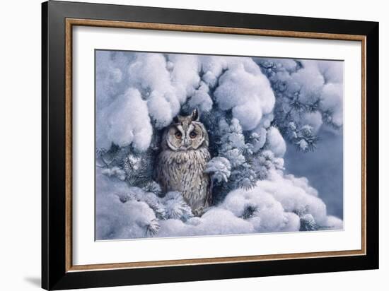 Long-Eared Owl-Harro Maass-Framed Giclee Print