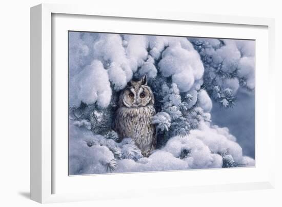 Long-Eared Owl-Harro Maass-Framed Giclee Print