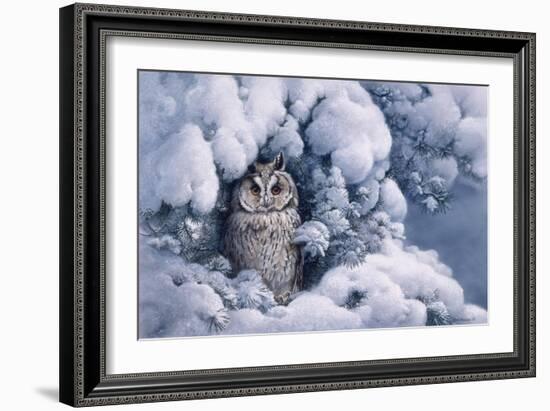 Long-Eared Owl-Harro Maass-Framed Giclee Print