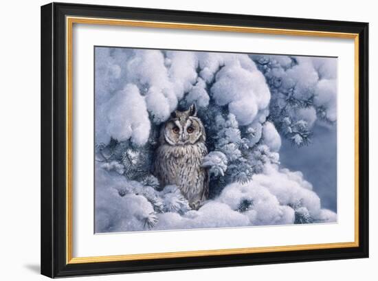 Long-Eared Owl-Harro Maass-Framed Giclee Print