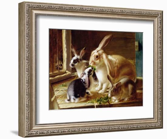 Long-Eared Rabbits in a Cage, Watched by a Cat-Horatio Henry Couldery-Framed Giclee Print