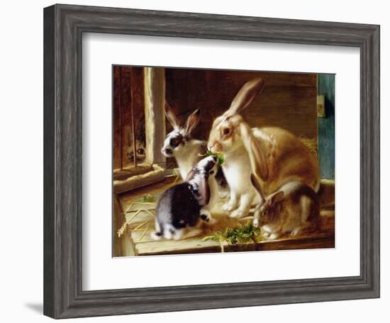 Long-Eared Rabbits in a Cage, Watched by a Cat-Horatio Henry Couldery-Framed Giclee Print