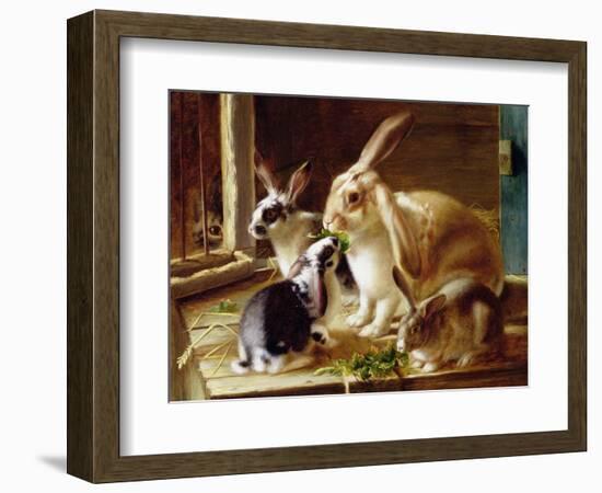 Long-Eared Rabbits in a Cage, Watched by a Cat-Horatio Henry Couldery-Framed Giclee Print