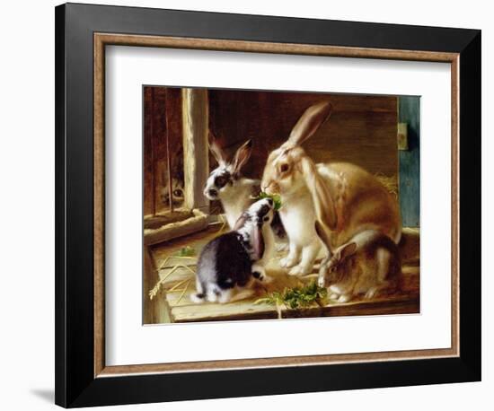 Long-Eared Rabbits in a Cage, Watched by a Cat-Horatio Henry Couldery-Framed Giclee Print