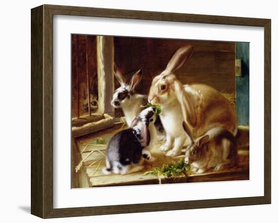 Long-Eared Rabbits in a Cage, Watched by a Cat-Horatio Henry Couldery-Framed Giclee Print