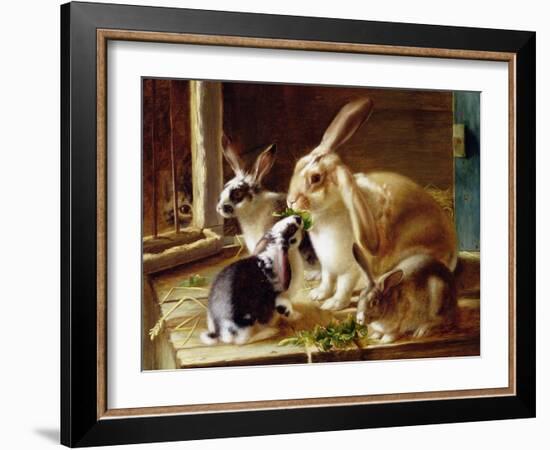 Long-Eared Rabbits in a Cage, Watched by a Cat-Horatio Henry Couldery-Framed Giclee Print