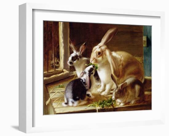 Long-Eared Rabbits in a Cage, Watched by a Cat-Horatio Henry Couldery-Framed Giclee Print