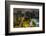 Long exposure night photography during a foggy night in downtown Sao Paulo, Brazil.-James White-Framed Photographic Print