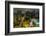 Long exposure night photography during a foggy night in downtown Sao Paulo, Brazil.-James White-Framed Photographic Print