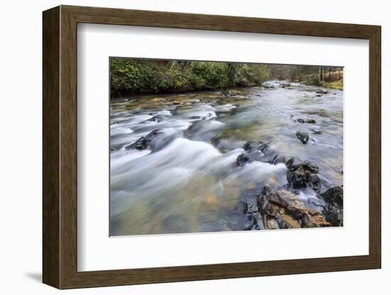 Long Exposure of a Mountain Stream in North Carolina-James White-Framed Photographic Print