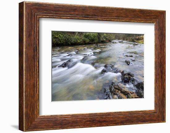 Long Exposure of a Mountain Stream in North Carolina-James White-Framed Photographic Print