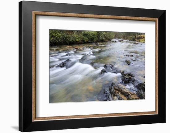 Long Exposure of a Mountain Stream in North Carolina-James White-Framed Photographic Print