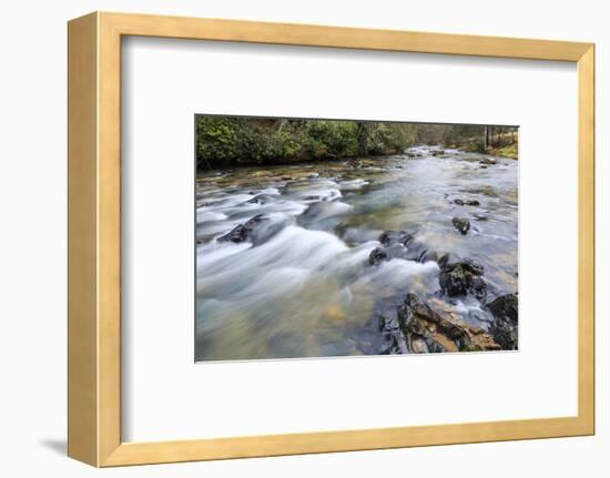 Long Exposure of a Mountain Stream in North Carolina-James White-Framed Photographic Print