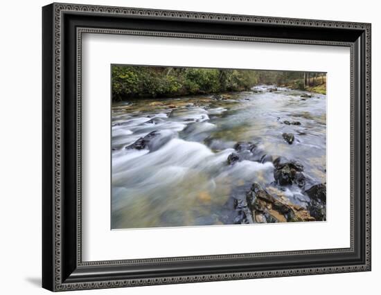 Long Exposure of a Mountain Stream in North Carolina-James White-Framed Photographic Print