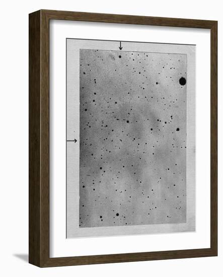 Long Exposure of Star Field Showing Track of the Asteroid Sappho Against Points of Stars, 1892-Max Wolf-Framed Giclee Print