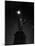 Long Exposure of the Statue of Liberty at Night-Andreas Feininger-Mounted Photographic Print